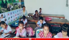 Sekolah TK-PAUD Nawaripi (karapauwnews.com/CLK)