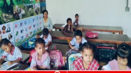 Sekolah TK-PAUD Nawaripi (karapauwnews.com/CLK)