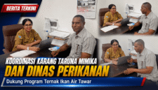 Koordinasi Karang Taruna Mimika dan Dinas Perikanan Dukung Program Ternak Ikan Air Tawar (karapauwnews.com)